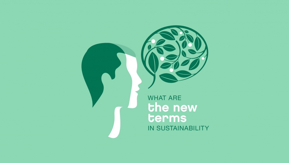 grön illustration - vilka är de nya villkoren för hållbarhet
